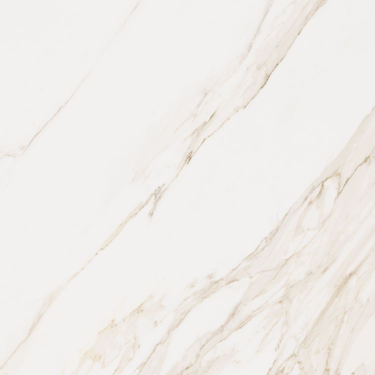 Omnia Calacatta Matte 48 x 48